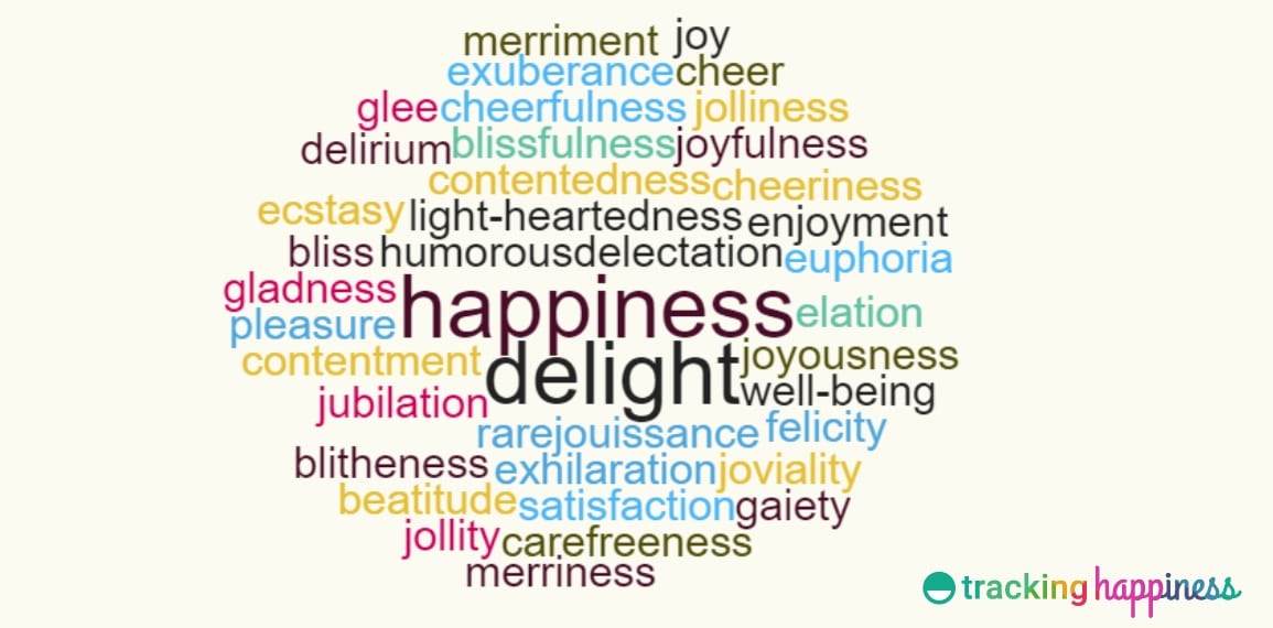 happiness definitions and synonyms